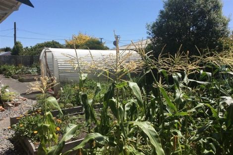 Photo of property in 11 Lyon Street, Marton, 4710