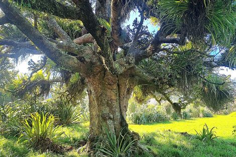 Photo of property in 2565 Rings Road, Coromandel, 3506