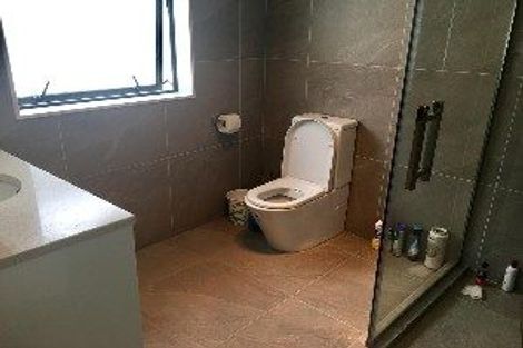 Photo of property in 21 Timmer Road, Flat Bush, Auckland, 2019