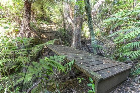 Photo of property in 160 Pumpkin Hill Road, Pumpkin Hill, Whitianga, 3591