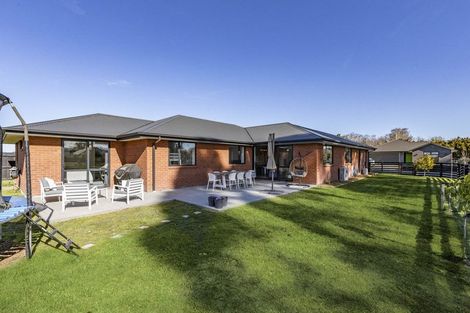 Photo of property in 22 Minerva Crescent, Woodend, 7610