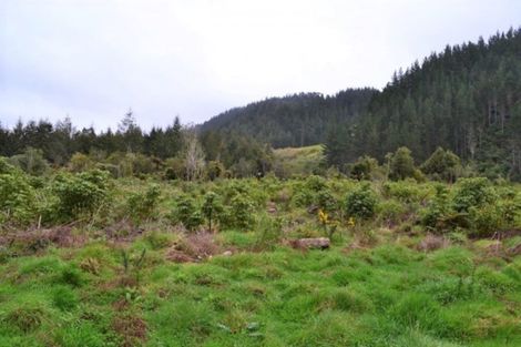 Photo of property in 867 Gladstone Road, Levin, 5571