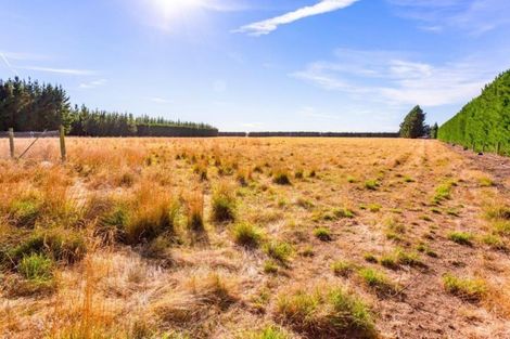 Photo of property in 143 Karanga Road, Dunsandel, Leeston, 7682