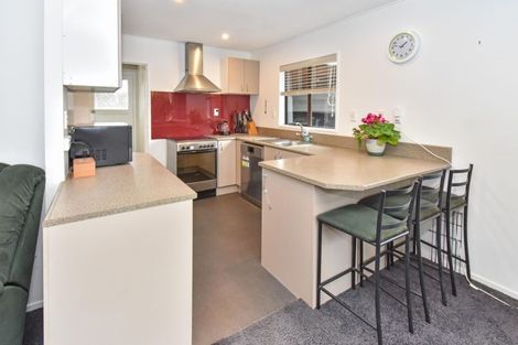 Photo of property in 10b Kindergarten Drive, Conifer Grove, Takanini, 2112