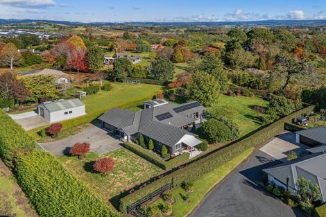 Photo of property in 8 Astelia Drive, Omokoroa, 3114