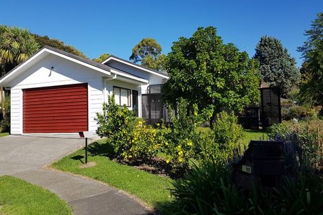Photo of property in 20 Magnolia Street, Outer Kaiti, Gisborne, 4010