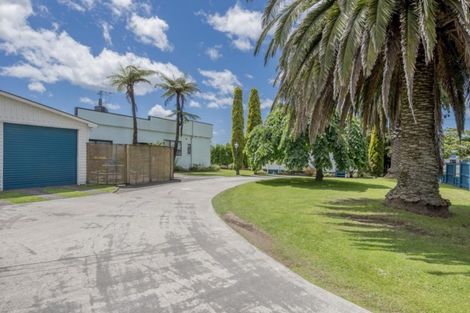 Photo of property in 6 William Street, Levin, 5510