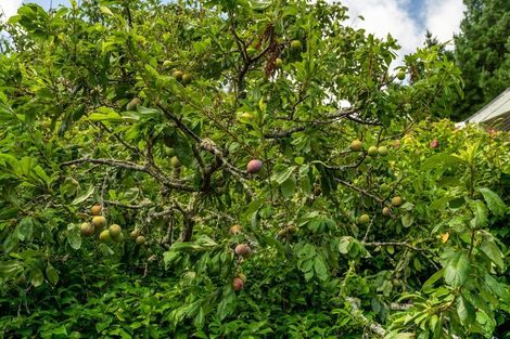 Photo of property in 38 Matai Road, Raumati South, Paraparaumu, 5032