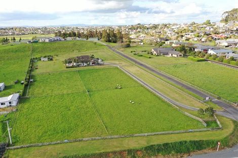 Photo of property in 488 Whatawhata Road, Temple View, Hamilton, 3285