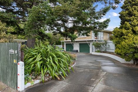 Photo of property in 41 Dillon Street, Blenheim, 7201