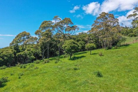 Photo of property in 425m Boat Harbour Road, Whenuakite, Whitianga, 3591