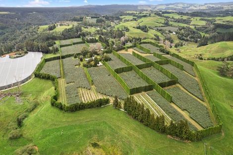 Photo of property in 43 Penmoral Lane, Lower Kaimai, Tauranga, 3171