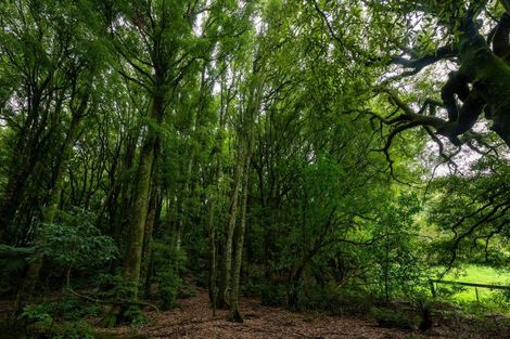 Photo of property in 119 Kaharoa Road, Hamurana, Rotorua, 3096