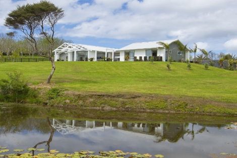 Photo of property in 132 Mangawhai Heads Road, Mangawhai Heads, Kaiwaka, 0573
