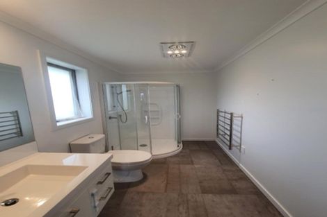 Photo of property in 67 Mcintosh Drive, Pokeno, 2471