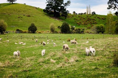 Photo of property in 66 Deer Park Road, Cheviot, 7310