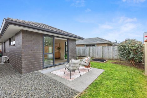 Photo of property in 29 Allington Place, Bethlehem, Tauranga, 3110
