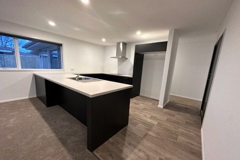 Photo of property in 113a Howick Road, Redwoodtown, Blenheim, 7201