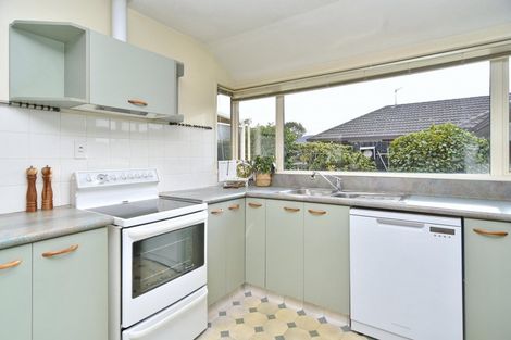 Photo of property in 23b Hamel Lane, Kaiapoi, 7630