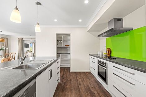 Photo of property in 29 Te Kereme Street, Marshland, Christchurch, 8083