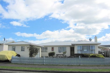 Photo of property in 12 Solway Street, Levin, 5510