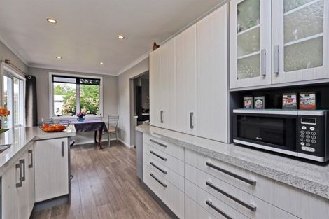 Photo of property in 229a Kenilworth Road, Mayfair, Hastings, 4122