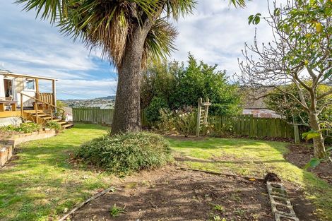 Photo of property in 53 Islington Street, North East Valley, Dunedin, 9010