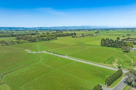 Photo of property in 434 Taonui Road, Aorangi, 4775