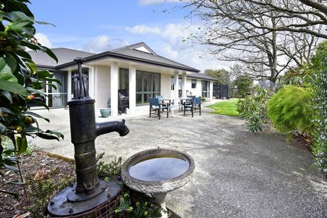 Photo of property in 19 Aratia Way, Richmond, 7020