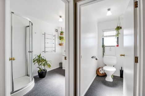 Photo of property in 166 Cambridge Avenue, Ashhurst, 4810