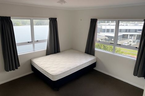 Photo of property in 103 Aurora Terrace, Hillcrest, Hamilton, 3216