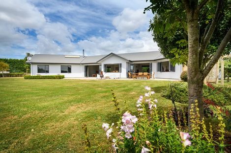 Photo of property in 161 Raukawa Road, Ashhurst, Palmerston North, 4470