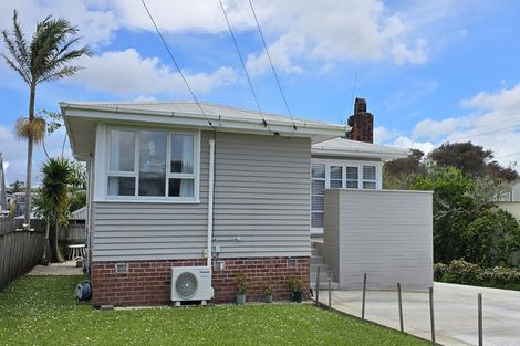 Photo of property in 65 Webster Avenue, Mount Roskill, Auckland, 1041
