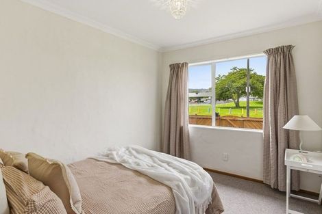 Photo of property in 14 Solway Street, Levin, 5510