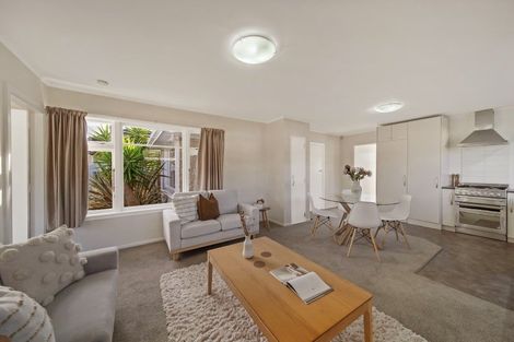 Photo of property in 13 Pagoda Street, Shirley, Christchurch, 8061