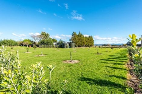 Photo of property in 168 Hansen Road, Makauri, Gisborne, 4071