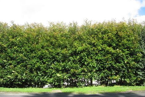 Photo of property in 34 Paranui Valley Road, Tikipunga, Whangarei, 0112