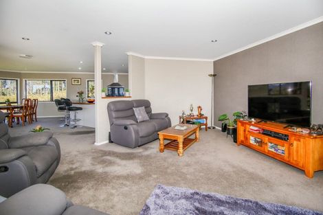 Photo of property in 106 Mcpadden Road, Westport, 7892