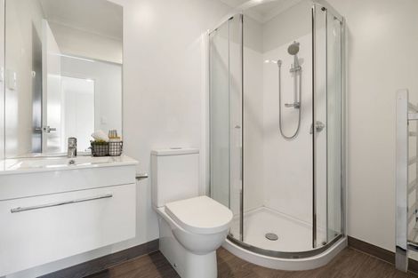 Photo of property in 1/4 Palmerston Street, Hamilton Central, Hamilton, 3204