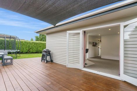 Photo of property in 26 Bongard Street, Gate Pa, Tauranga, 3112