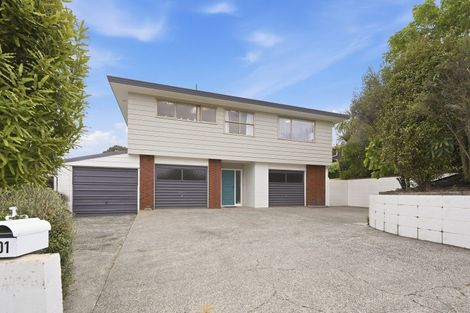 Photo of property in 101 Princess Road, Bellevue, Tauranga, 3110