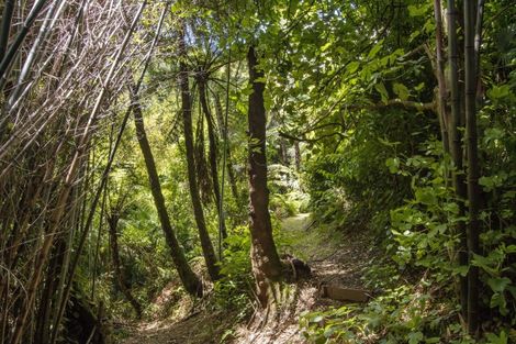 Photo of property in 213a Minden Road, Minden, Tauranga, 3176