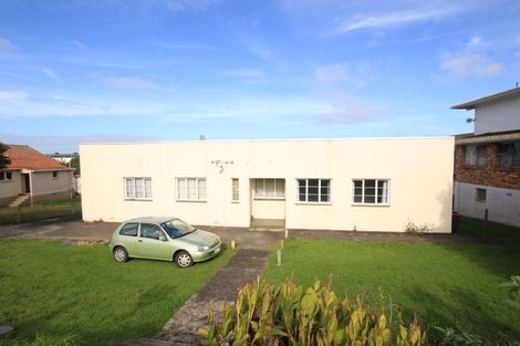 Photo of property in 355 Mount Albert Road, Mount Roskill, Auckland, 1041