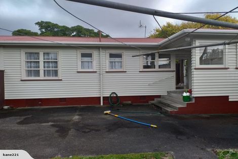 Photo of property in 605 Queen Street East, Levin, 5510
