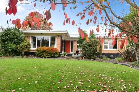 Photo of property in 80 Flynn Road, Hillcrest, Hamilton, 3216