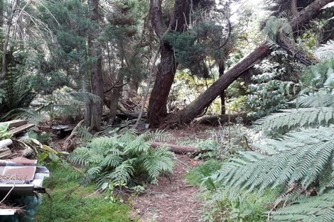 Photo of property in 332 Kaniere Road, Kaniere, Hokitika, 7811