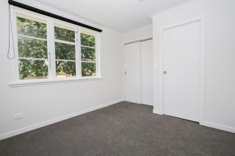 Photo of property in 45 Herbert Road, Queenwood, Hamilton, 3210