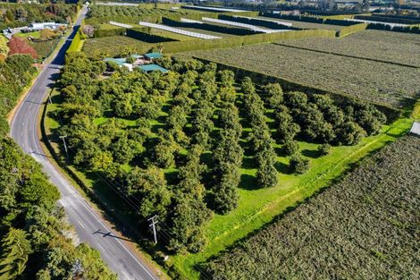 Photo of property in 204a No 2 Road, Te Puke, 3182