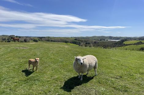 Photo of property in Dunkerron Farm, 852 Oneriri Road, Kaiwaka, 0573