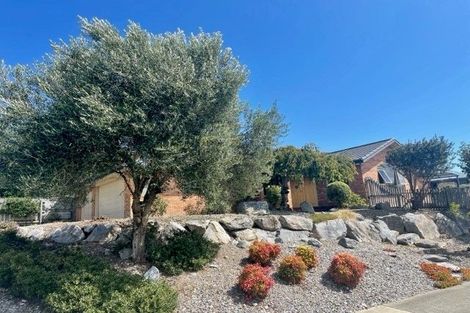 Photo of property in 84 Templemore Drive, Richmond, 7020